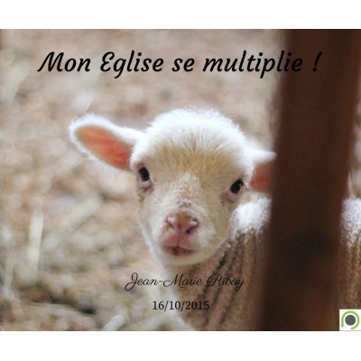 Mon Eglise se multiplie !  - Jean-Marie Ribay (06/10/2015)