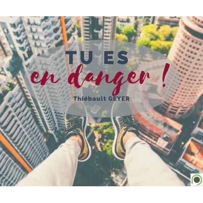Tu es en Danger !  -Thiebault Geyer (14/08/2016) 