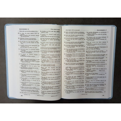 Bible Segond 1910 - Couleur bleu ciel avec un motif dentelle en relief