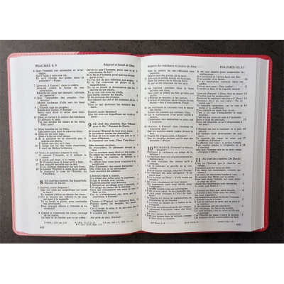 Bible Segond 1910 - Duo rose