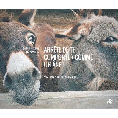 Arrête de te comporter comme un âne - Thiebault Geyer