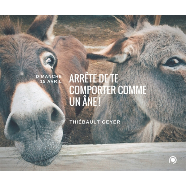 Arrête de te comporter comme un âne - Thiebault Geyer