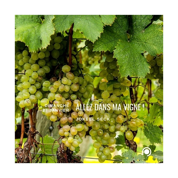 Allez dans ma vigne - Jokeel Seck