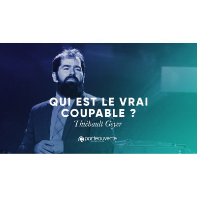 Qui est le vrai coupable - Thiebault Geyer