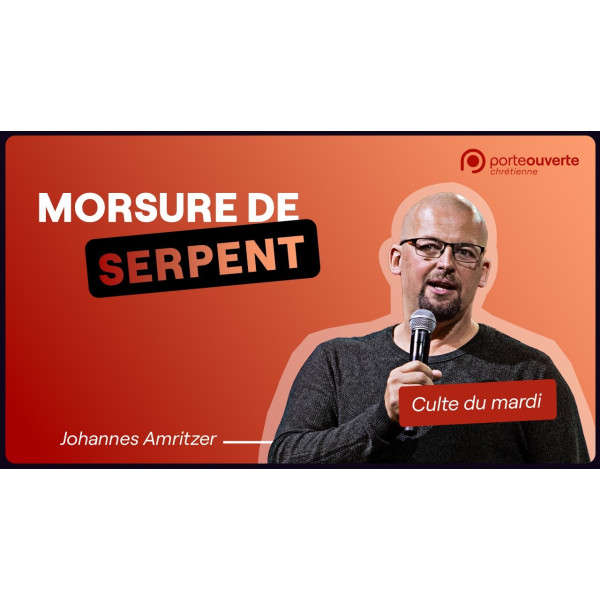 Morsure de serpent - Johannes Amritzer MP3