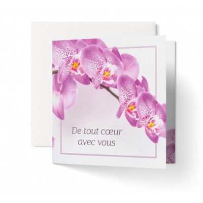 CARNET Branche d'orchidées blanches et roses condoléances