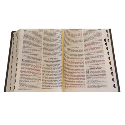 La Sainte Bible Segond 1910