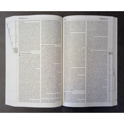 Bible Segond 21 -  Couverture souple, avec les mots d'aujourd'hui, tranche blanche