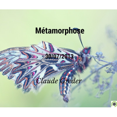 Métamorphose - Claude Greder (30/07/2013)