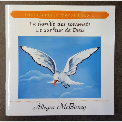La famille des sommets - Le surfeur de Dieu
