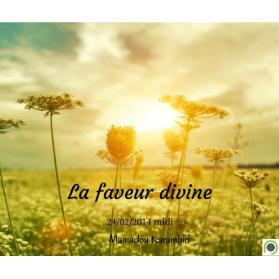La faveur divine - Mamadou Karambiri (24/02/2014)