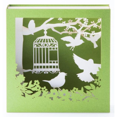 Carte CAGE OISEAU 3D