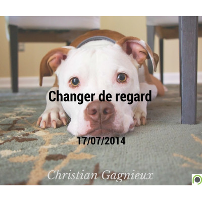 Changer de regard - Christian Gagnieux (13/07/2014)