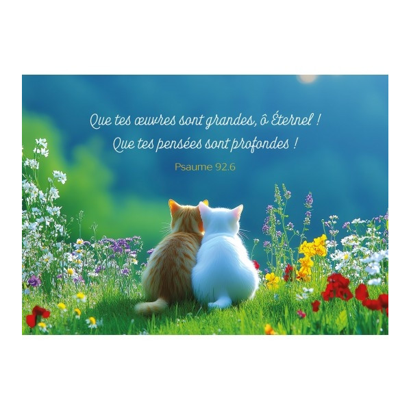 Carte avec verset Deux chatons assis côte à côte