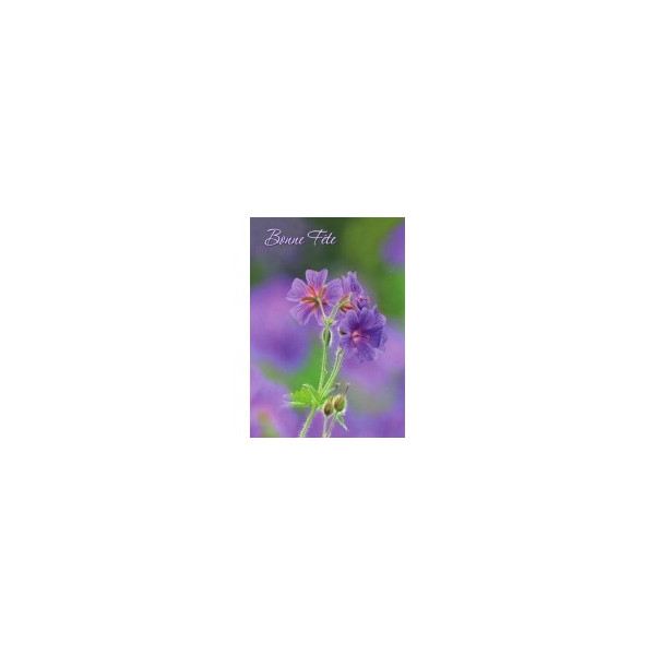 Carte Avec Message primevères mauves (Bonne Fête)