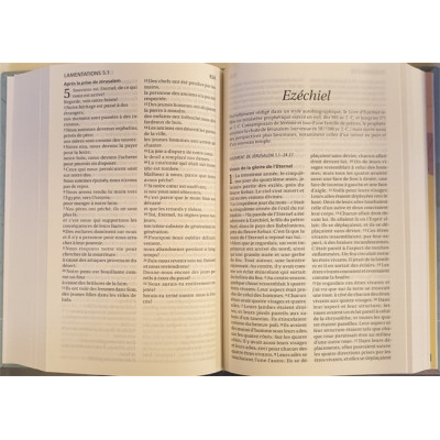 Bible Segond 21 compacte (premium style)