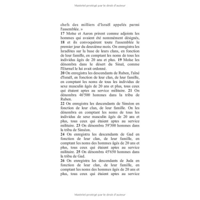 Nombres : La Bible de Poche volume 4/25
