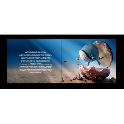 Livre+CD La petite tortue BABAYAGAGOGO