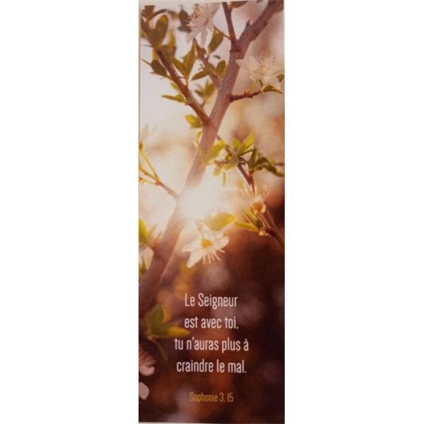 Signet Soleil dans Arbustre