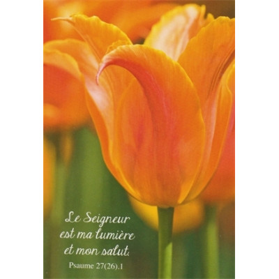 carte divers avec verset