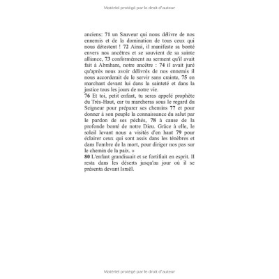 L’Evangile de Luc : La Bible de Poche volume 20/25